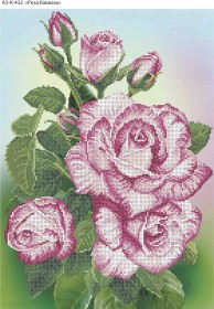Схема для вишивання бісером на габардині Троянда Кавказу