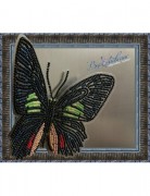 Набор для вышивки бисером на прозрачной основе Бабочка Parides sesostris zestos