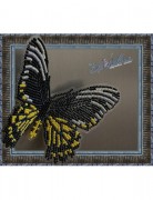 Набор для вышивки бисером на прозрачной основе Бабочка Золотая Птицекрылка Радамант