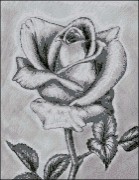 Схема вышивки бисером на габардине Роза