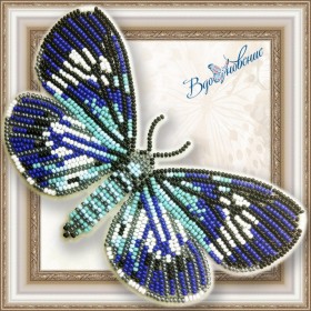 Набір для вишивки бісером на прозорій основі Метелик Hypocrita confluens