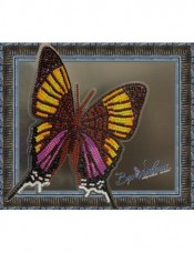 Набір для вишивки бісером на прозорій основі Метелик Марпезия Марселла