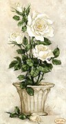Схема вишивки бісером на атласі Білі троянди