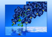 Схема для вышивки бисером на атласе Орхидеи Голубые (Диптих)