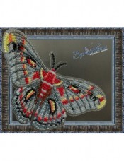 Набор для вышивки бисером на прозрачной основе Бабочка Гиалофора кекропия