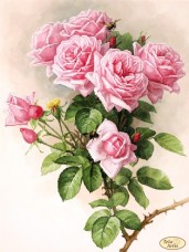 Схема вишивки бісером на атласі Англійські троянди