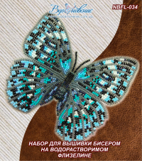 Набор для вышивки бисером Бабочка Стихофтальма годфри