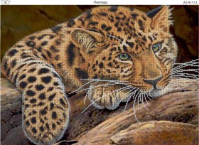 Схема для вишивання бісером на габардині Леопард