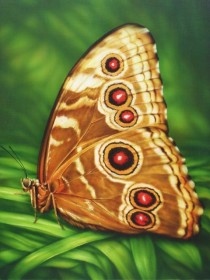 Набор для выкладки алмазной мозаикой Бабочка Монарх