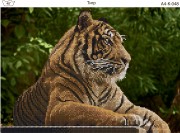 Схема для вышивки бисером на габардине Тигр