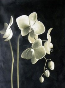 Набор для выкладки алмазной мозаикой Цвет орхидеи