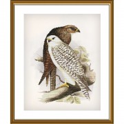 Набір для вишивки нитками на канві з фоновим зображенням Горді птахи 