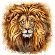 Набор для выкладки алмазной мозаикой Взгляд льва