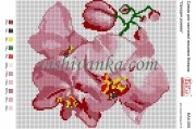 Рисунок на габардине для вышивки бисером Орхідея рожева