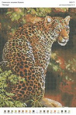 Рисунок на габардине для вышивки бисером Леопард Вишиванка А3-071
