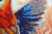 Набор для вышивки бисером на холсте Красочный взмах крыла  Абрис Арт АВ-901