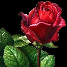 Набір для викладки алмазної мозаїкою Червона троянда