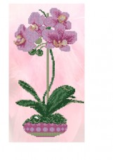 Схема вышивки бисером на габардине Орхидея Эдельвейс С-214