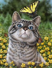 Набір для викладки алмазної мозаїкою Кіт з метеликом