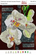 Схема для вышивки бисером на атласе Орхідея біла