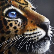 Набор для выкладки алмазной мозаикой Взгляд леопарда
