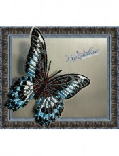 Набір для вишивки бісером на прозорій основі Метелик Вітрильник Полимнестор