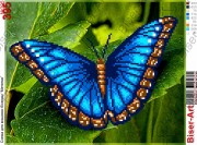Схема вишивки бісером на габардині Метелик