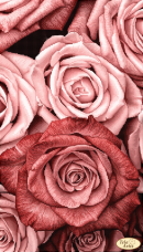 Схема для вишивання бісером на атласі Пудрові троянди