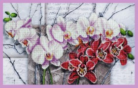Набор для вышивки бисером Симфония орхидей Картины бисером Р-263 - 865.00грн.