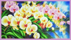 Набор для вышивки бисером Орхидеи в саду Картины бисером Р-308