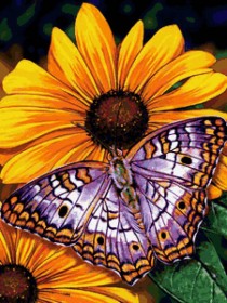 Набор для выкладки алмазной мозаикой Бабочка на цветах