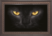 Малюнок на тканині для вишивання бісером Чорний кіт