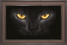 Рисунок на ткани для вышивки бисером Чёрный кот Чарiвна мить (Чаривна мить) СБ-159