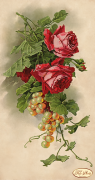 Малюнок на тканині для вишивання бісером Троянди й виноград